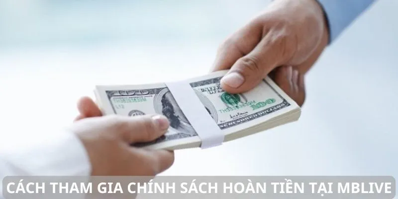 Các bước để nhận chính sách hoàn lại tiền cược