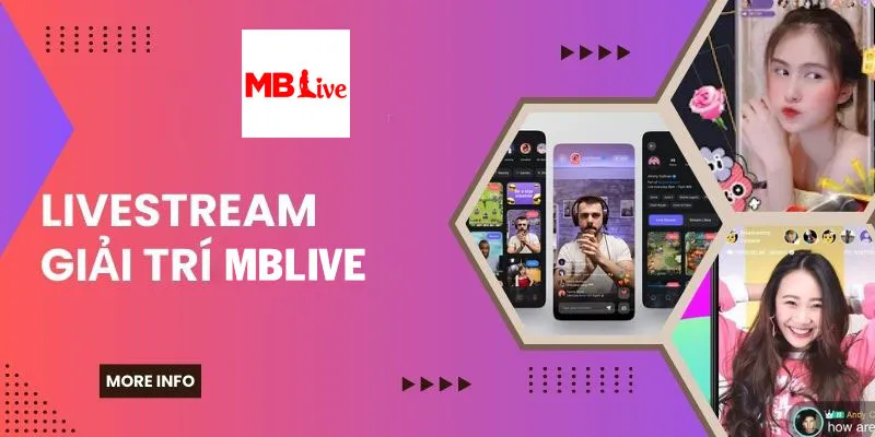 Tổng quan chung về hệ thống MBLive