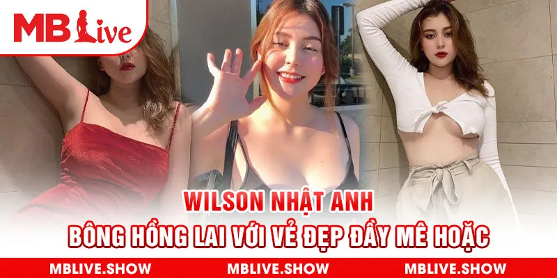 Wilson Nhật Anh - Bông Hồng Lai Với Vẻ Đẹp Đầy Mê Hoặc